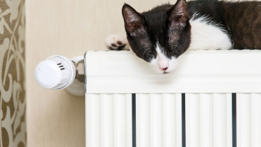 Startseite | Arbeiterkammer Steiermark