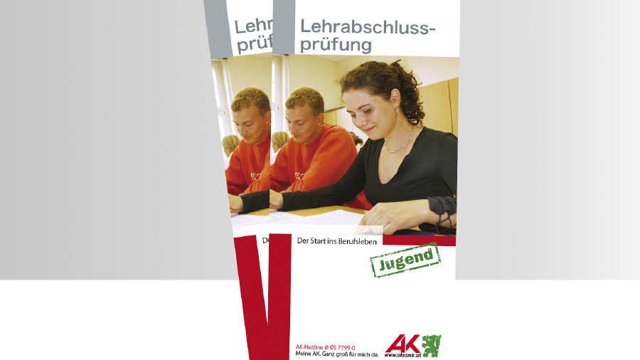 © -, - Broschüre LAP © -, -