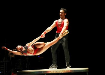 Ehrungen Graz 22. Oktober 2025