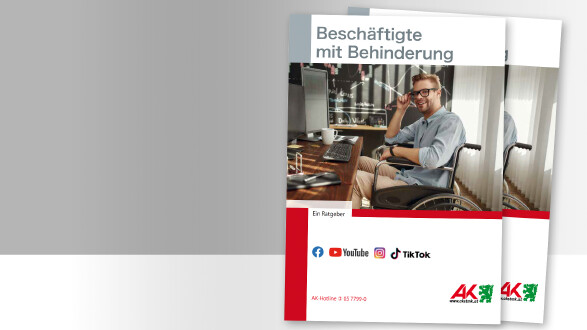 Broschüre zu Beschäftigung mit Behinderung