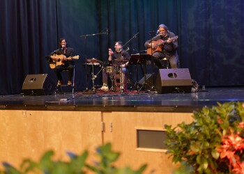 Wissenschaftliche Förderungen