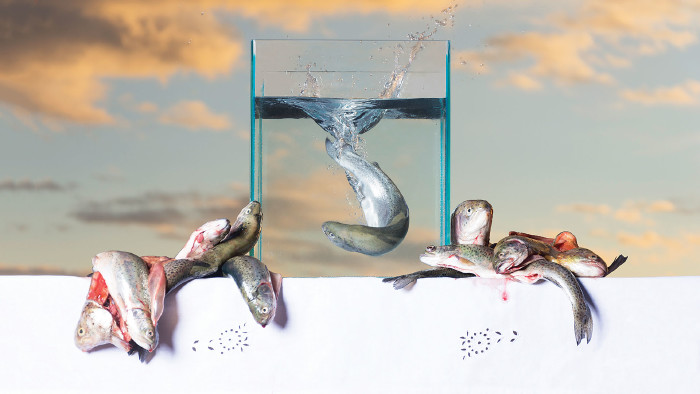 Ausstellung: BlitzBündel – da schau hin © Moschitz Yola, AK Stmk Ausstellung: BlitzBündel – da schau hin © Moschitz Yola, AK Stmk