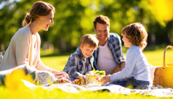 Familie beim Picknick