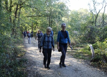 Familienwandertag Neudau