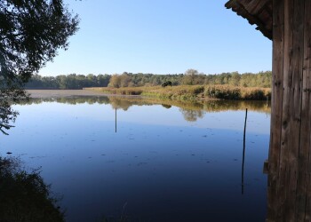 Familienwandertag Neudau