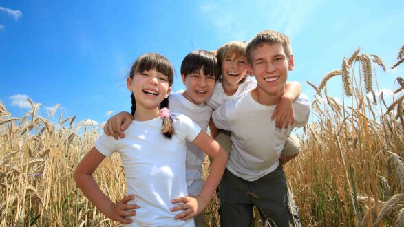 Vier Kinder in einem Weizenfeld