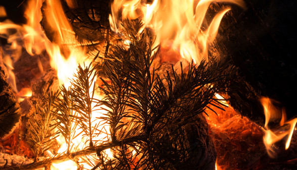 Nach dem Jahreswechsel und um den 6. Jänner ist die Gefahr von Christbaumbränden besonders hoch.  © travelguide, AdobeStock