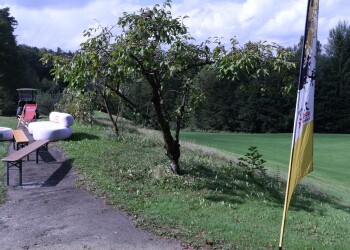 T. Betriebs-Golfturnier GC Schloss Frauenthal