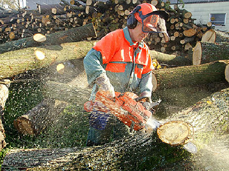 Ein Holzarbeiter mit Motorsäge zerlegt einen Baumstamm © Bergringfoto, Fotolia.com