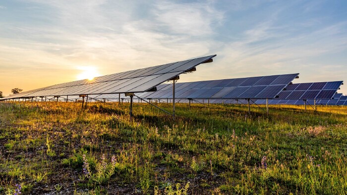 Photovoltaikanlage auf einer Wiese bei Sonnenuntergang